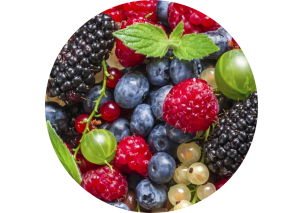 Berries - Made in Argentina