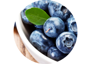 Blueberries - Made in Argentina
