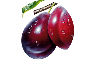Plums - Made in Argentina