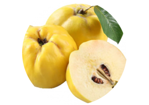 Quinces - Made in Argentina