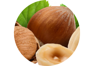 Hazelnuts - Made in Argentina