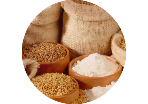 Grains and Oilseeds - Made in Argentina
