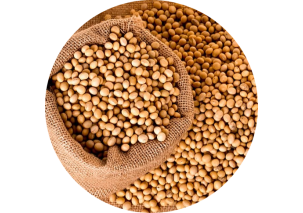 Soybean Flour - Made in Argentina