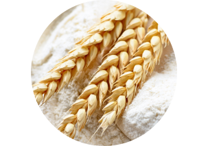Wheat Flour - Made in Argentina