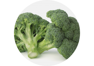 Broccoli - Made in Argentina