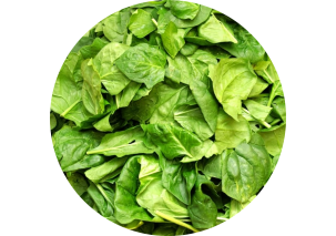 Spinach - Made in Argentina