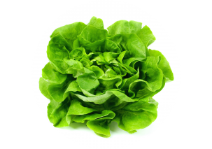 Lettuce - Made in Argentina