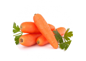 Carrot - Made in Argentina