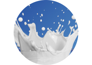 Milk - Made in Argentina