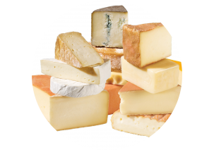Cheeses- Made in Argentina