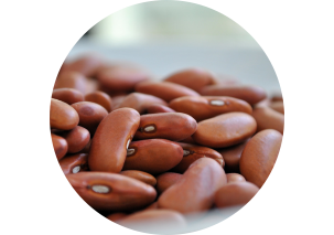 Beans - Made in Argentina