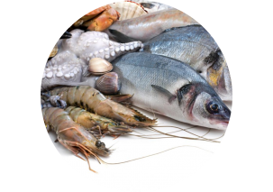 Fish and Seafood - Made in Argentina
