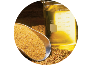 Soybean Oil - Made in Argentina