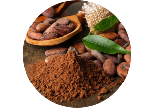 Cacao - Made in Argentina