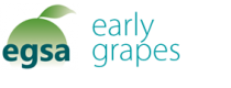 EARLY GRAPES